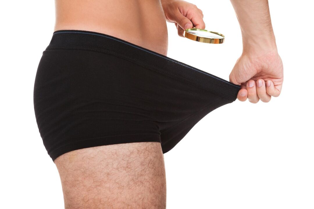 normal size male organ